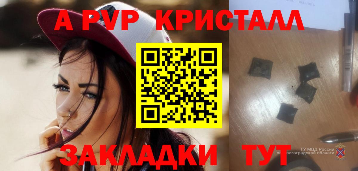 Alpha PVP СК КРИС Владимир