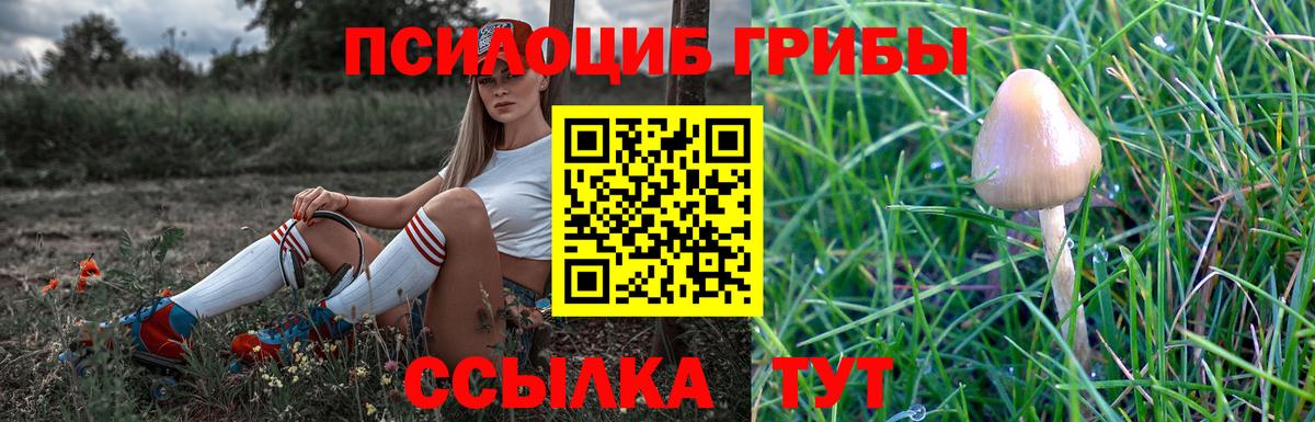 Галлюциногенные грибы GOLDEN TEACHER  Вход с VPN  Владимир 